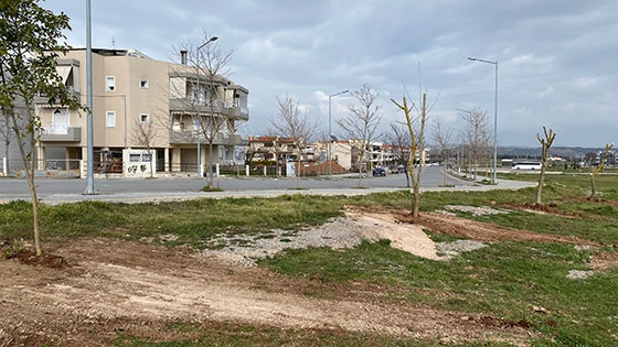 Απίστευτο κι όμως… ελληνικό: Μεταφύτεψαν δέντρα πάνω στον περιπατητικό διάδρομο του Αλτιναλμάζη!
