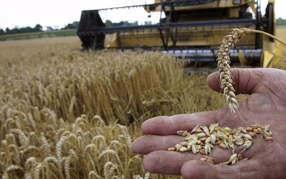 Η Ένωση Ορεστιάδας θα πραγματοποιήσει διαγωνισμό πώλησης σκληρού σίτου, εντός του Ιουλίου.