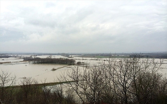 Απεγκλωβίστηκαν από τη νησίδα του Έβρου οι 28 Σύριοι πρόσφυγες 