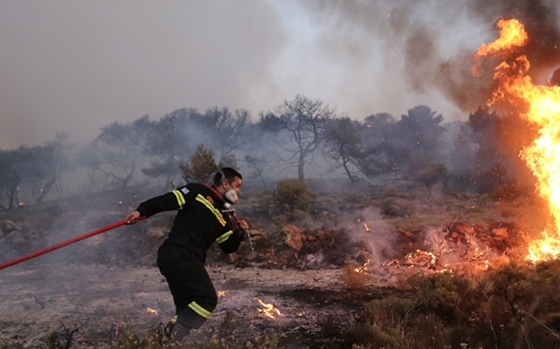 Φωτογραφία αρχείου
