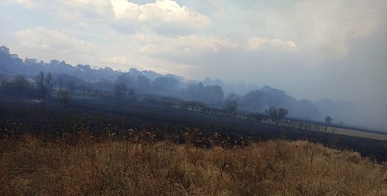 Σχηματίστηκε δικογραφία για εμπρησμό από αμέλεια για την πυρκαγιά της Αισύμης