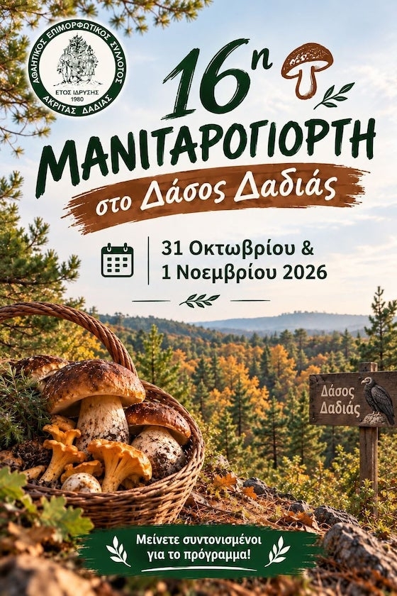 Η Μανιταρογιορτή του Δάσους Δαδιάς έχει εξελιχθεί σε έναν θεσμό που προσελκύει λάτρεις της φύσης και της γαστρονομίας