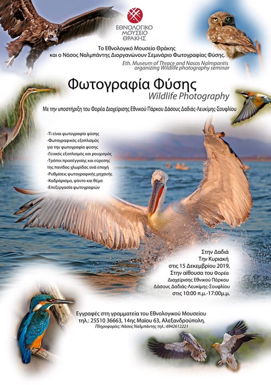 Σεμινάριο Φωτογραφίας Φύσης στο Εθνικό Πάρκο Δάσους Δαδιάς - Λευκίμης - Σουφλίου 