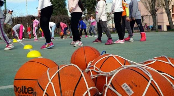 Επιστολή διαμαρτυρίας των Εκπαιδευτικών Φυσικής Αγωγής  Έβρου