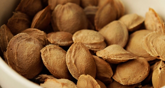 ΓΕΩΤ.Ε.Ε Θράκης: "Σκορπίστε τα κουκούτσια σε ακαλλιέργητες εκτάσεις"