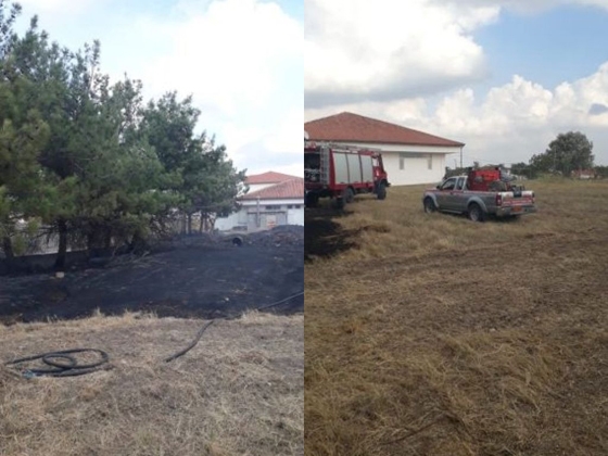 Φωτ: Δαρούσης Δημήτρης