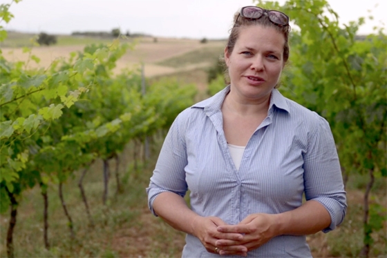 Αλεξανδρούπολη: Η αμπελουργός που οινοποιεί με ενσυναίσθηση για το έδαφος