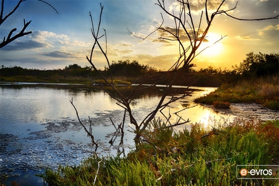 Απαγορεύτηκε η αλιεία σε ποταμούς του Έβρου.