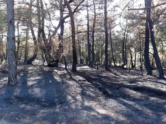 φώτο αρχείου