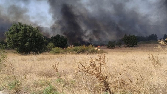 Στιγμιότυπο από την περιοχή των Λουτρών