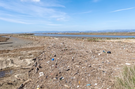Θλιβερές εικόνες στο Δέλτα του Έβρου – Σκουπίδια και φερτά υλικά «πνίγουν» τη λιμνοθάλασσα "Δράνα" Θλιβερές εικόνες στο Δέλτα του Έβρου – Σκουπίδια και φερτά υλικά «πνίγουν» τη λιμνοθάλασσα "Δράνα"