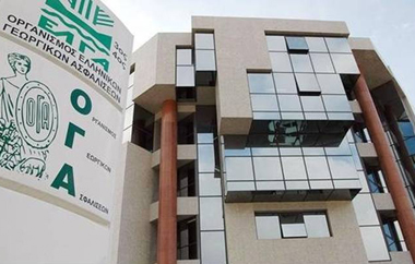 Όσοι κάνουν την αίτηση μέχρι τις 18/11, θα πάρουν τα οικογενειακά επιδόματα στις 18 Δεκεμβρίου.