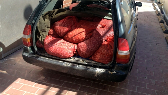 Τα όστρακα κατασχέθηκαν και οι δύο άντρες συνελήφθησαν.