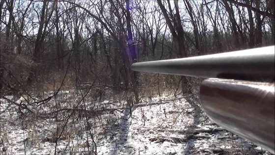 Δασαρχείο Αλεξανδρούπολης: Απαγόρευση θήρας σε περίοδο χιονοπτώσεων