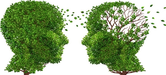 Θα χορηγηθούν δωρεάν τεστ μνήμης σε άτομα άνω των 60 ετών, ενώ θα γίνει ενημερωτική ομιλία σε σχέση με τη νόσο Alzheimer.