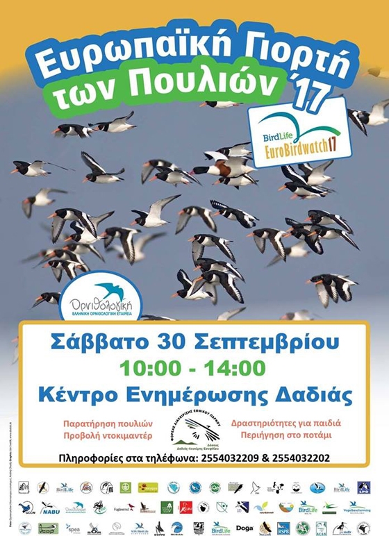 Ευρωπαϊκή Γιορτή πουλιών 2017 στο  Εθνικό Πάρκο Δάσους Δαδιάς-Λευκίμης-Σουφλίου
