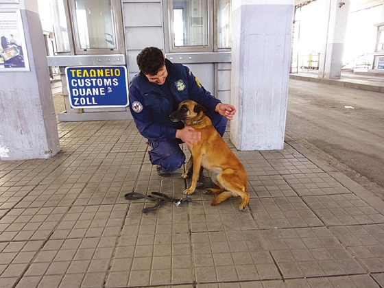 Έξι λαγωνικά "μυρίζουν" το λαθρεμπόριο στους Κήπους Έβρου