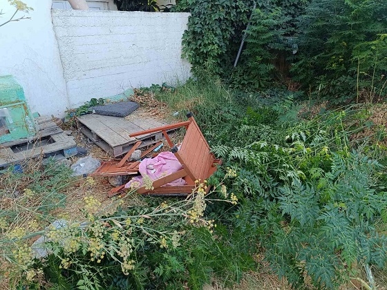 Μήνυση από τον Δήμο Σαμοθράκης, για την καταστροφή περιοχής για αδέσποτες γάτες.