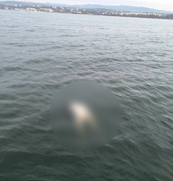 Πτώμα ανδρός βρέθηκε σε θαλάσσια περιοχή της Αλεξανδρούπολης