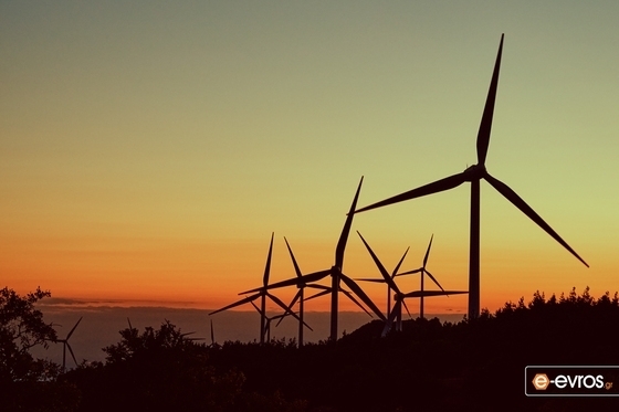 εξέδωσαν ψήφισμα στο οποίο δηλώνουν την κατηγορηματική αντίθεση του Τμήματος στην εγκατάσταση ανεμογεννητριών στα όρια του Δάσους.