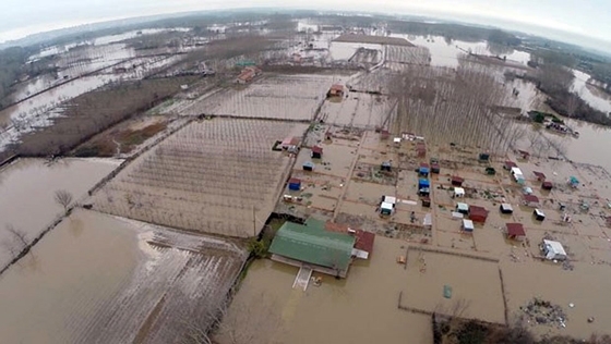 Έβρος: 200 χιλιάδες στρέμματα φυτικής παραγωγής παραμένουν πλημμυρισμένα.