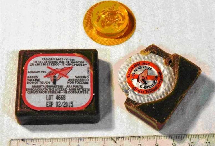 Οδηγίες της Διεύθυνσης Κτηνιατρικής Περιφέρειας ΑΜΘ σε περίπτωση ανεύρεσης αντιλυσσικού δολώματος