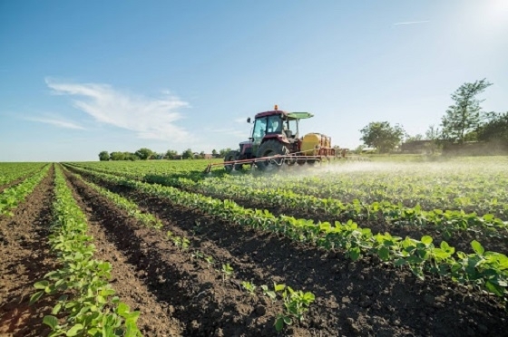 Καταβλήθηκαν αποζημιώσεις 1,4 εκατ. ευρώ στους καλλιεργητές ακακίας που επλήγησαν από ζημιές.