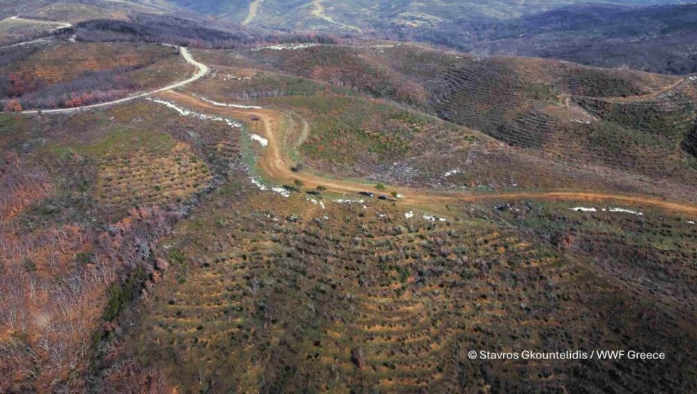 Ιδιαίτερη ανησυχία προκαλεί η αίτηση της ίδιας εταιρείας για αιολικό σταθμό στη θέση «Αμπέλια 2», κοντά στον οικισμό της Μελίας του Δήμου Αλεξανδρούπολης.