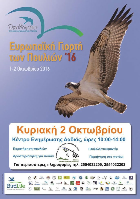 Ευρωπαϊκή Γιορτή πουλιών 2016 στη Δαδιά