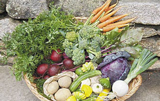 Μέχρι την Παρασκευή 5 Απριλίου θα έχουν το χρονικό περιθώριο οι επιχειρήσεις από τον Έβρο, που επιθυμούν να συμμετάσχουν.