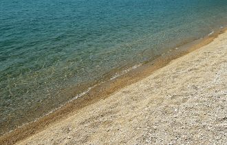 16 άντρες, 5 γυναίκες και 7 ανήλικα.