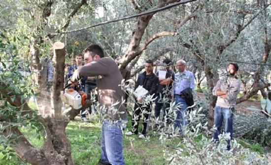 Διημερίδα για την ελαιοκαλλιέργεια στη Σαμοθράκη από την Π.Ε. Έβρου