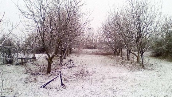 ΕΛΓΑ Δήμου Αλεξανδρούπολης: Ξεκίνησαν οι δηλώσεις ζημιάς αγροτικών καλλιεργειών