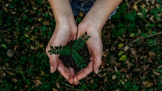 Hellas Frost: «Πράσινη» επένδυση για μονάδα βιοαερίου στον Έβρο