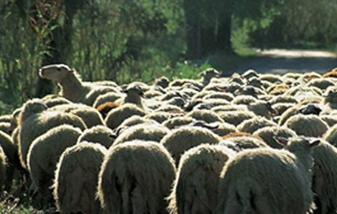 Πώς έχει διαμορφωθεί μέχρι σήμερα η κατάσταση.