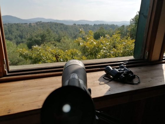 Tο Παρατηρητήριο της Δαδιάς παραδίδεται την Τρίτη ανακαινισμένο και έτοιμο να υποδεχθεί ξανά το κοινό.