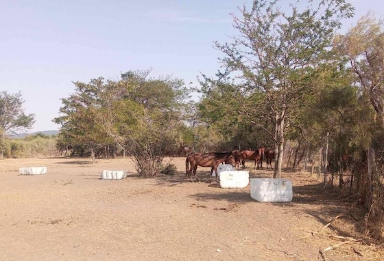 Τοποθετήθηκαν νέες δεξαμενές νερού στην περιοχή.