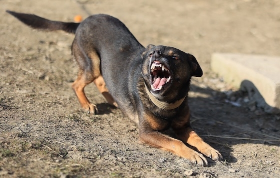 Φωτογραφία αρχείου.