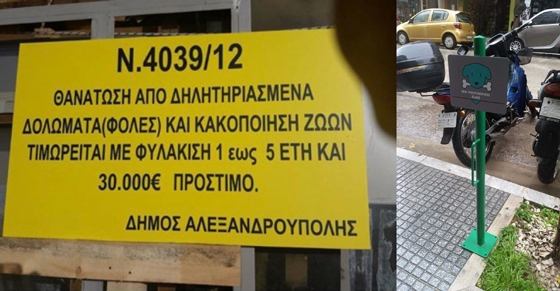 Κινήσεις προς μια πιο φιλόζωη Αλεξανδρούπολη 