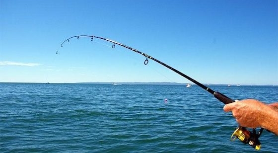 Το ψάρεμα επιτρέπεται μόνο στην Νοτιοανατολική πλευρά του Ναυταθλητικού Ομίλου.