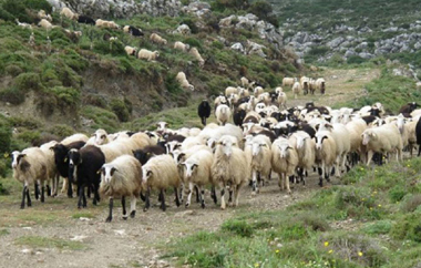 Ποιοι οικισμοί περιλαμβάνονται στη ζώνη.