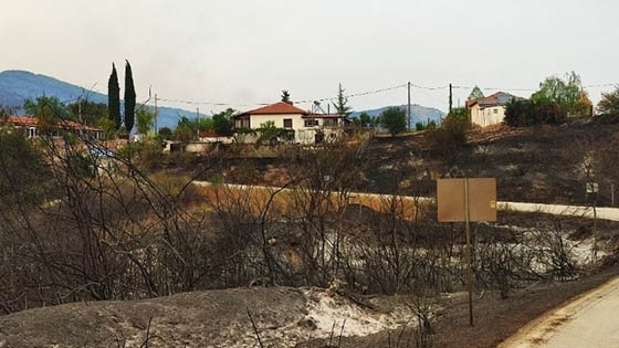 Η πλατφόρμα για την υποβολή αιτήσεων ενίσχυσης, θα παραμείνει ανοιχτή έως την 23η Αυγούστου 2024.