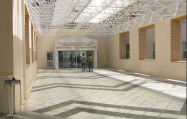 Πλήρωσε την αγάπη της για το αδέσποτο σκυλάκι που υιοθέτησε χωρίς να του κάνει τα απαραίτητα προστατευτικά εμβόλια.