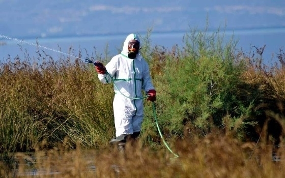  Π-ΑΜΘ: Περίπου 2 εκ. ευρώ εξασφάλισε για το πρόγραμμα καταπολέμησης κουνουπιών