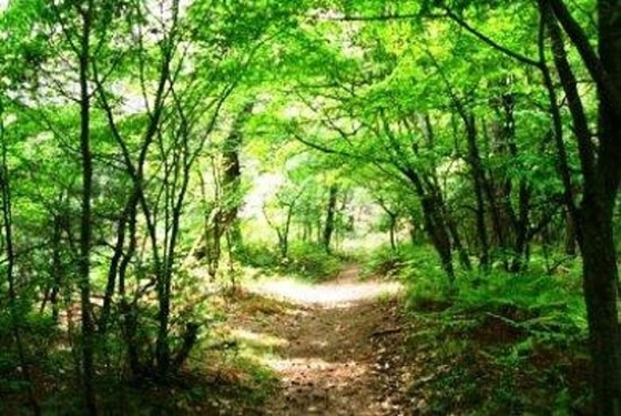 30 περιπατητικά μονοπάτια ανέδειξε έρευνα του Πανεπιστημίου Θράκης στον Έβρο