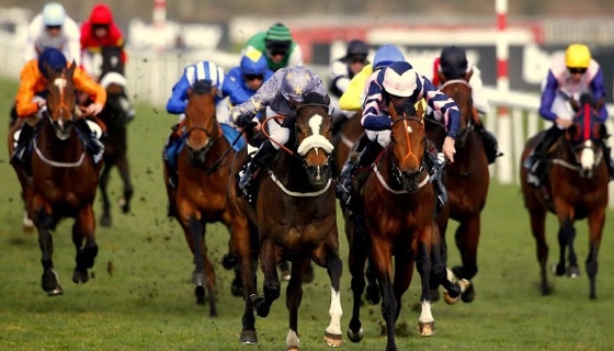 Το κεντρικό σημείο κάθε ιπποδρομίας είναι, φυσικά, το ίδιο το άλογο