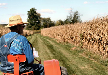 Νωρίτερα από κάθε άλλη χρονιά θα ξεκινήσουν φέτος οι αιτήσεις για την ενιαία ενίσχυση.