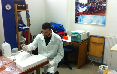 Σε πανελλαδική έρευνα του ΤΕΦΑΑ συμμετείχαν αθλητές του τμήματος στίβου του Εθνικού.