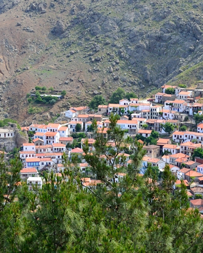 Τα 20 μοναδικά στοιχεία που διαθέτει.