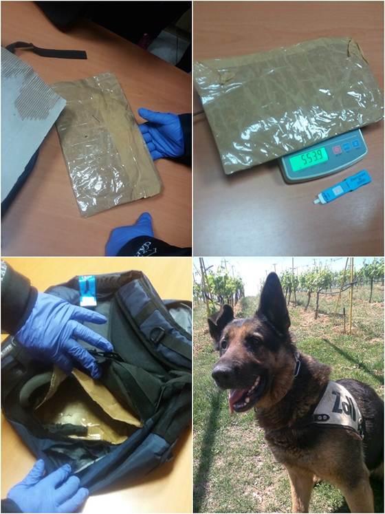 Η ηρωίνη που εντοπίστηκε και ο Diego - ανιχνευτής!